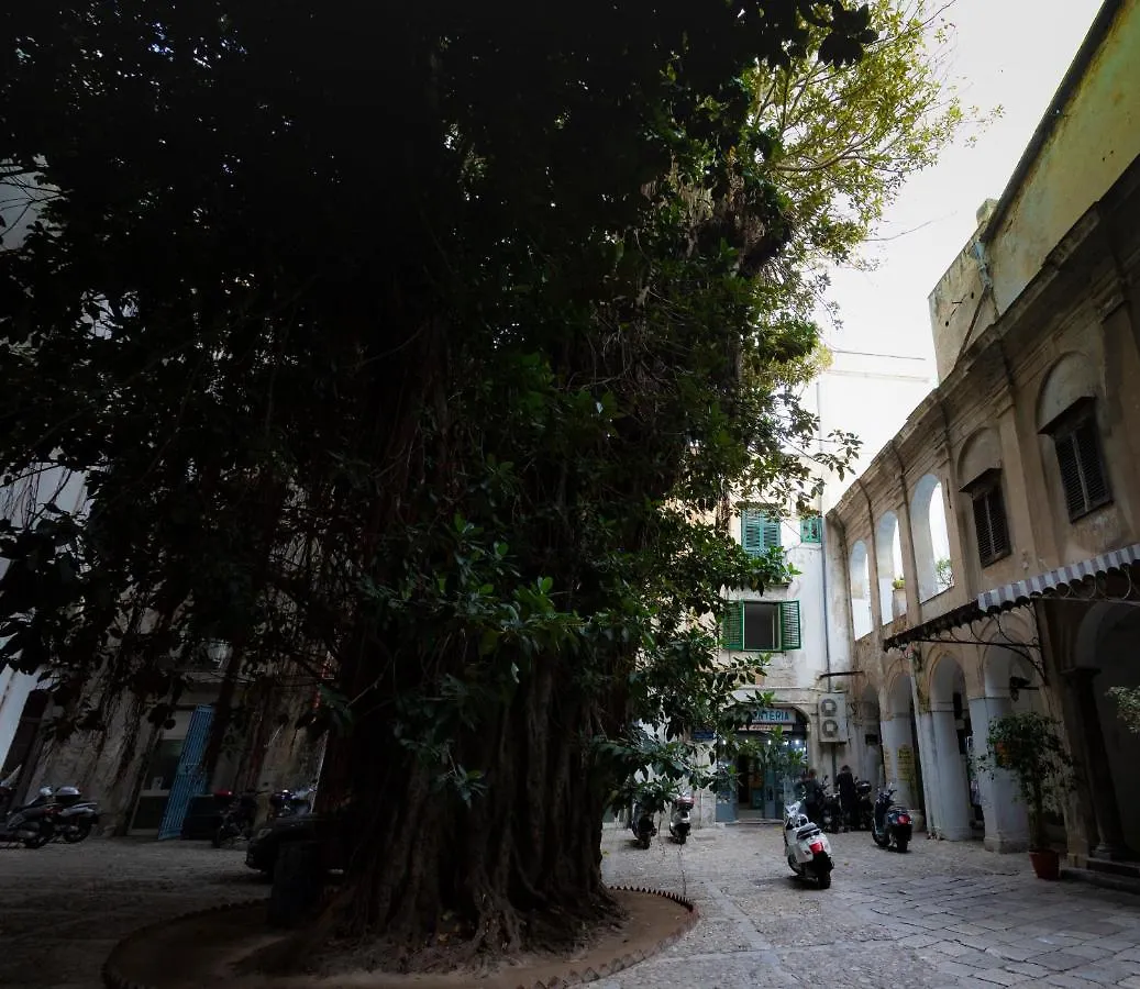 Amuni Apartman Palermo Homestay szállás